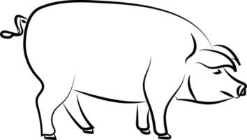 großes Schwein stehend, Illustration, Vektor auf weißem Hintergrund.
