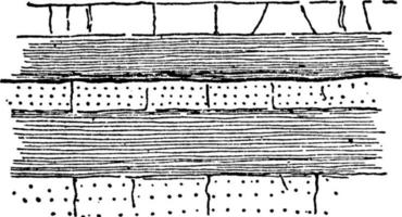 Plan einer Streikstörung, Vintage-Illustration. vektor