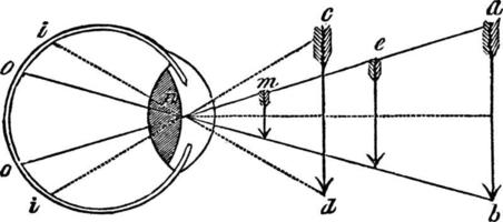 vinkel av syn, årgång illustration. vektor