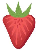 jordgubbsfruktikon vektor