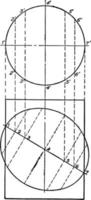 sektion av en cylinder som visar ett ellips årgång illustration. vektor