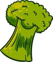 skön broccoli, illustration, vektor på vit bakgrund