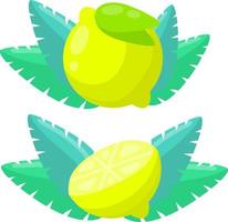 Zitrone und grüne Limette. gelbe saure Frucht. satz von objekten mit vitamin c. Essen schneiden. flache illustration der karikatur. Tropfen Saft. Symbol-Logo vektor