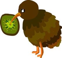 en kiwi fågel och en kiwi frukt, vektor eller Färg illustration.