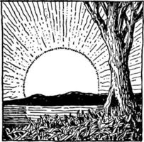 morgens aufgehende sonne, vintage illustration. vektor