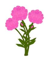 Strauß rosa Pfingstrosen, Illustration vektor