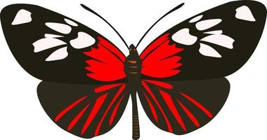schwarzer Schmetterling, Illustration, Vektor auf weißem Hintergrund
