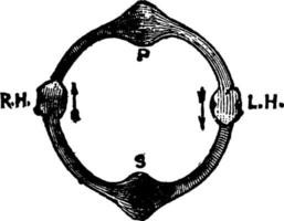 diagram av omlopp, årgång illustration vektor