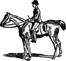 hästridning årgång illustration. vektor