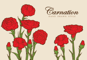 Carnation Blumen-Illustration vektor