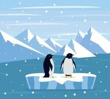 skön panorama med naturlig arktisk glaciär och med grupp pingvin. panorama- landskap av norr hav eller arktisk hav snö berg. frysta natur av antarctica vektor