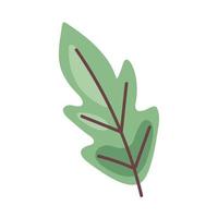 Blattpflanze grünes Laub vektor