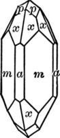 zirkon, årgång illustration. vektor