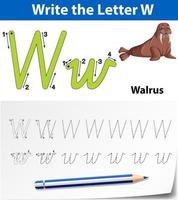Buchstabe w Tracing Alphabet Arbeitsblatt mit Walross vektor
