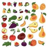 stor uppsättning av 10 frukt. 37 element. äpple, granatäpple frukt, druva, persika, päron, kiwi, avokado, mango, fikon, körsbär. vektor hand dra tecknad serie illustration.