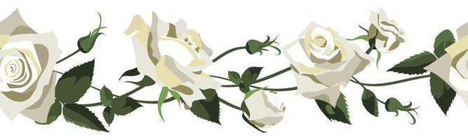 Vektorblumenhintergrund mit weißen Rosen, Knospen und Blättern. Grenzdesign isoliert auf weißem Hintergrund vektor