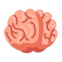 menschliches Gehirn. Cartoon-Orgel. Vektor-Illustration vektor
