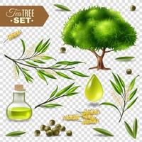 Teebaum und Ölset vektor