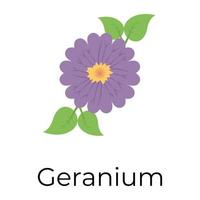 trendig geranium begrepp vektor