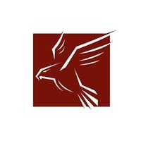hawk falcon adler vektor logo design icon illustration vorlage