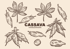 Freie Hand Drawn Cassava Vektoren