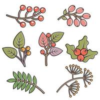 Reihe von bunten Herbstblättern und Beeren. isoliert auf weißem Hintergrund. einfacher Cartoon-Flat-Stil. Vektor-Illustration. vektor