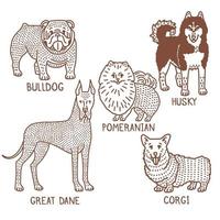 Hunde gesetzt. isolierte Hundesammlung im Doodle-Stil für Flyer, Anzeigen, Banner, Poster. Vektor-Illustration vektor