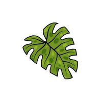 monstera blad. geen husplan, tropisk växt för grön skriva ut. platt tecknad serie illustration isolerat på vit vektor