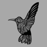 fågel linjekonst vektor illustration