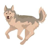 Husky-Hundemaskottchen inländisch vektor