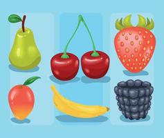 sex färsk frukt friska vektor