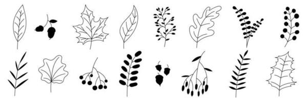 handgezeichnete herbstkollektion mit saisonalen pflanzen und blättern. satz von handgezeichneten pflanzen, blättern, blumen. Silhouetten natürlicher Elemente für saisonale Hintergründe. Vektor-Illustration vektor