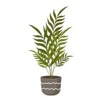 Palme in einem Topf. flache vektorillustration der farbe. grüne Pflanze in einem Blumentopf auf weißem Hintergrund. Blume für Zuhause. vektor