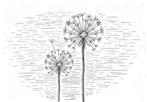 Free Vector Blume Illustration