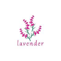 frischer lavendelblumenlogovektor vektor