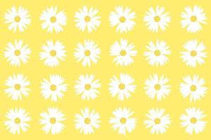 mönster och uppsättning av daisy på gul bakgrund vektor