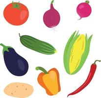 Reihe von leckerem Gemüse isoliert auf weißem Hintergrund. gesunde vegane produkte.