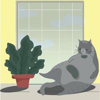 Faule graue Katze, die auf der Fensterbank liegt vektor