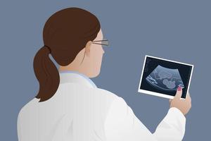 gravid kvinna med tvillingar i de livmoder. vektor illustration