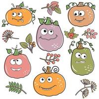 eine Reihe von kawaii Kürbissen und Herbstpflanzen mit Beeren, Vektorgrafik isoliert im Cartoon-Stil vektor