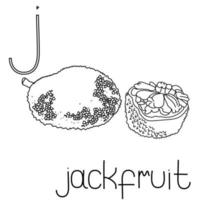 malvorlage obst und gemüse abc, buchstabe j - jackfruit, gebildete malkarte vektor