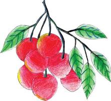 vattenfärg Litchi med grön blad illustration bakgrund vektor