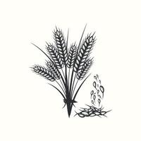 hand dragen svart och vit silhuett av vete öron spannmål korn illustration i årgång och retro stil på vit bakgrund vektor