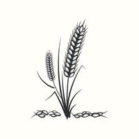 hand dragen svart och vit silhuett av vete öron spannmål korn illustration i årgång och retro stil på vit bakgrund vektor