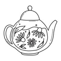 Teekanne mit grünem Tee und Kamille Kräutertee mit Kamille in einer Teekanne aus Glas. Vektor-Illustration. isolierte Darstellung auf weißem Hintergrund. Doodle-Stil. vektor