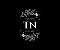 tn initialer brev bröllop monogram logotyper samling, hand dragen modern minimalistisk och blommig mallar för inbjudan kort, spara de datum, elegant identitet för restaurang, boutique, Kafé i vektor