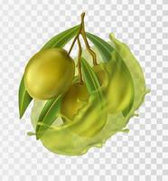 3d realistisk vektor ikon. grön oliver gren. oliv olja stänk.