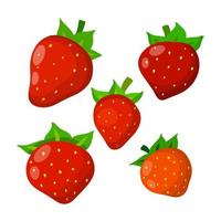 jordgubbe. röd ljuv bär. efterrätt och naturlig mat. små frukt. platt tecknad serie illustration isolerat på vit vektor
