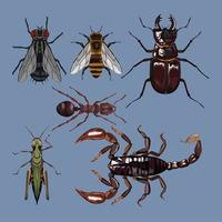 sex insekter djur vektor