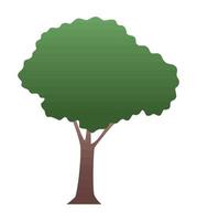 grüner baumpflanzenwald vektor